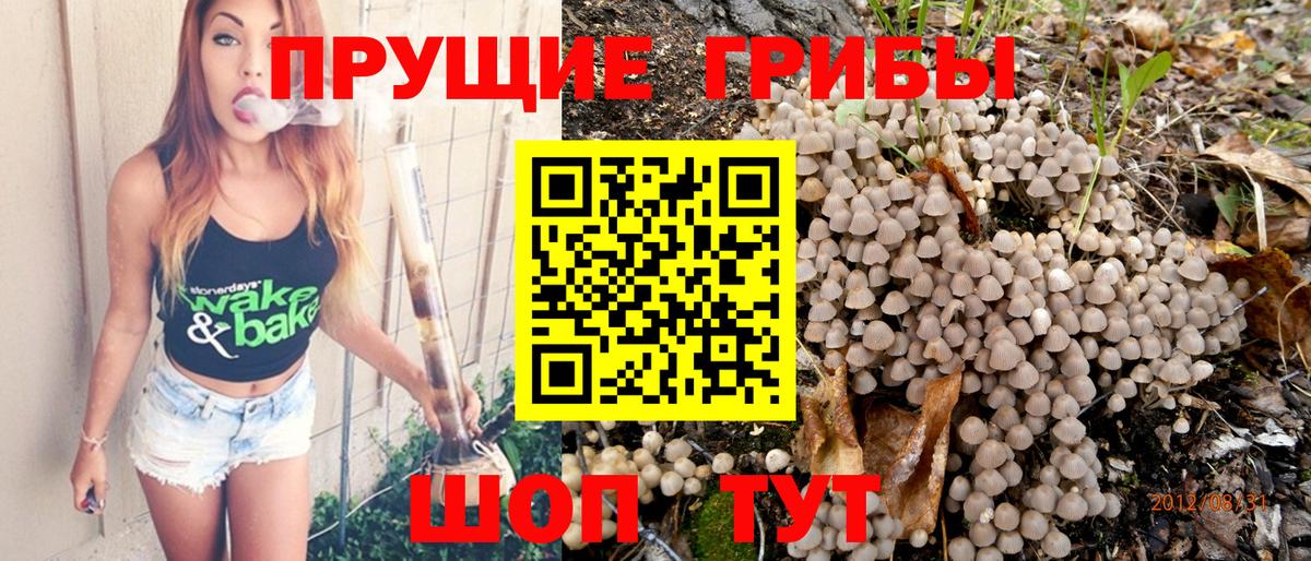 Галлюциногенные грибы Psilocybe  Галлюциногенные грибы мицелий  Лобня  цена   Вход с VPN 